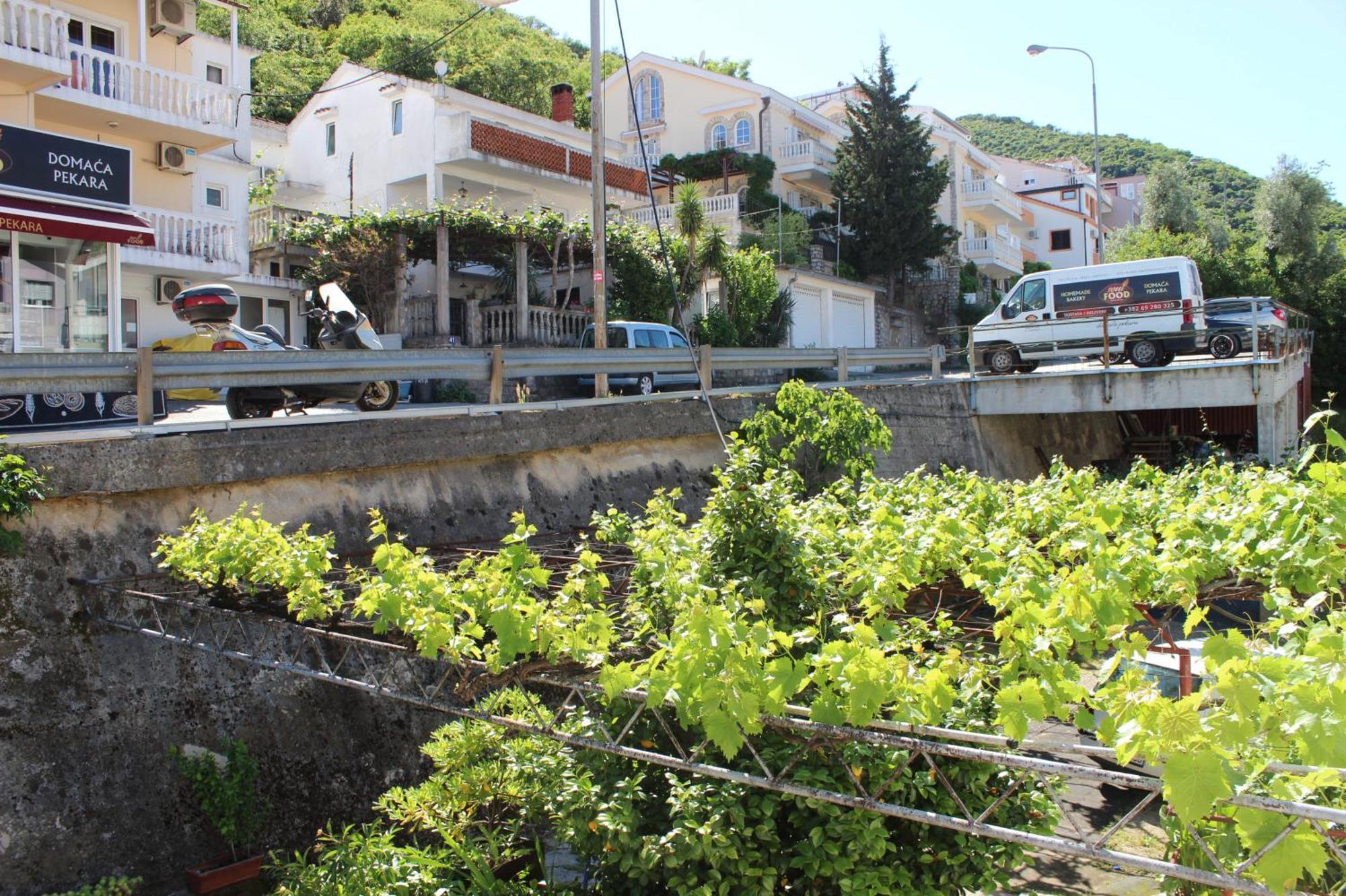 Bozovic I Privatunterkunft Budva